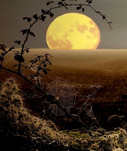 Spiderweb Moon, Fawler, England