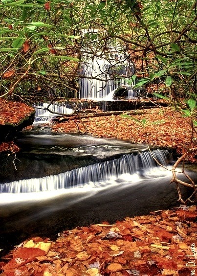 Autumn, Grogan Creek Waterfall, North Carolina
