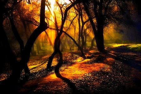 Dark Forest, Moldova