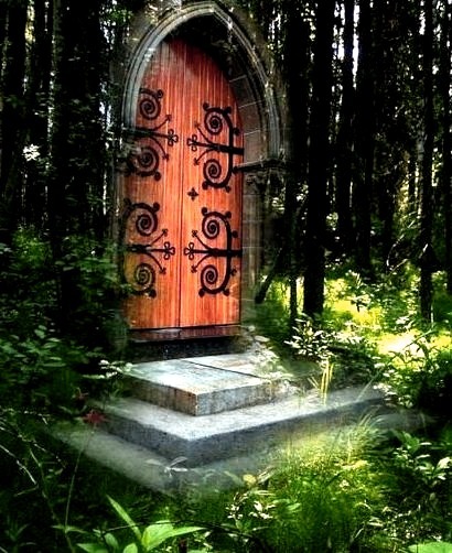 Portal, The Magic Forest