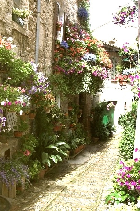 Flowered Lane, Spello, Italy