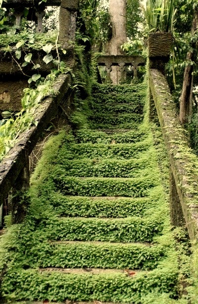 Green Stairway, Queensland, Australia