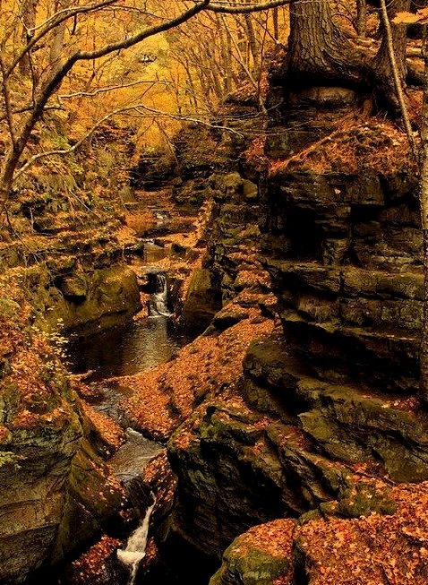 Pewits Nest Canyon, Baraboo, Wisconsin