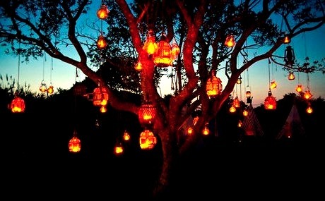 Lantern Tree, Montauk, New York
