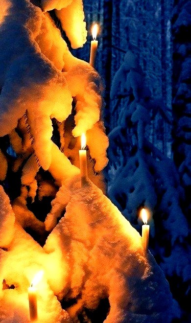 Candle Lit Tree, Finland