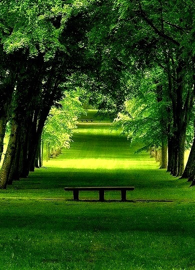 The Green of Summer, Chamarande, France